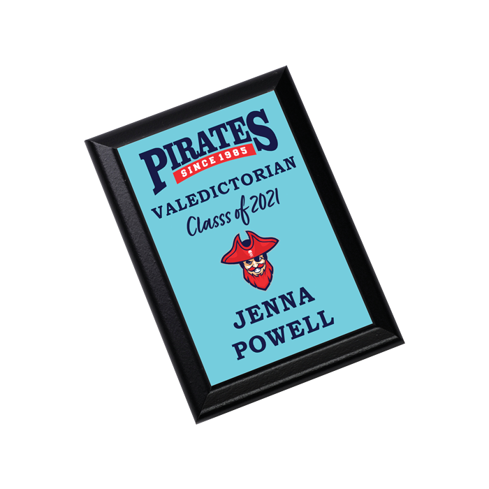 6x8 Award Plaque